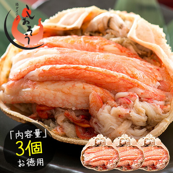 越前産ズワイガニ 甲羅盛り 中サイズ×3個（甲羅横幅 約11cm）越前産 ずわい蟹 海鮮 越前がに ずわい甲羅盛り 越前ガニ ズワイ ずわい 越前蟹 高級グルメ 食品 食べ物 母の日