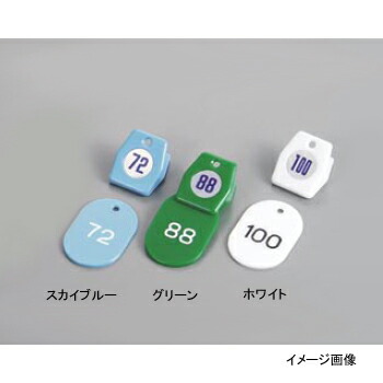 クロークチケットA型(51～100) 11010 グリーン(50個セット)