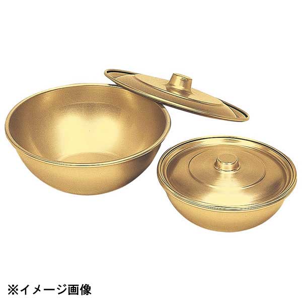しゅう酸 アルマイトボール 40cm