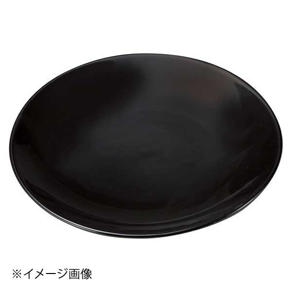 黒釉12号皿(有田焼)
