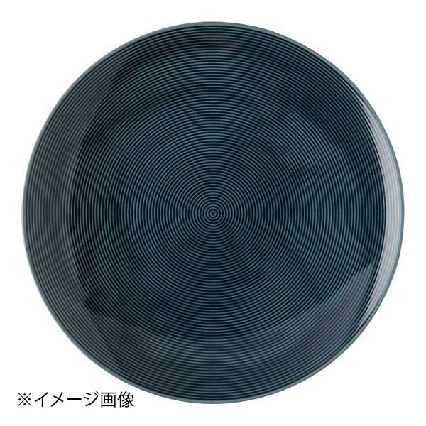 ローゼンタール トーマスロフトカラー グルメプレート28 401916-10229 NB ナイトブルー