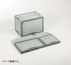 リスボックス 有色不透明タイプ 手穴無し ４０Ｂ- ＬＧＹ／ＧＹ