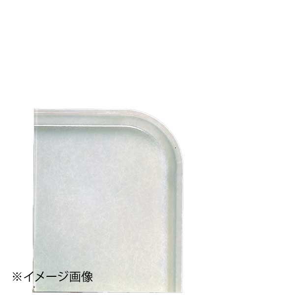 ENDO 遠藤孝商店 White Thumb ホワイトサム CAMBRO カムトレー アンチークパーチメント（101） 1418