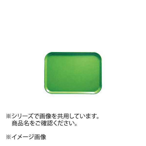 ENDO 遠藤孝商店 White Thumb ホワイトサム CAMBRO カムトレー ライムエイド（113） 1418