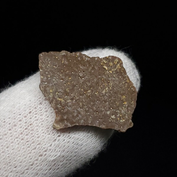 楽天市場】【送料無料】【恐竜/化石/卵】恐竜 卵 化石 本物 フランス産