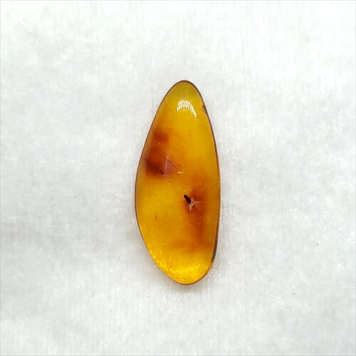【化石】虫(蜂)入り琥珀 （台座付き） Amazon | [N2 stone Natural] 天然化石 虫入り琥珀 (アンバー