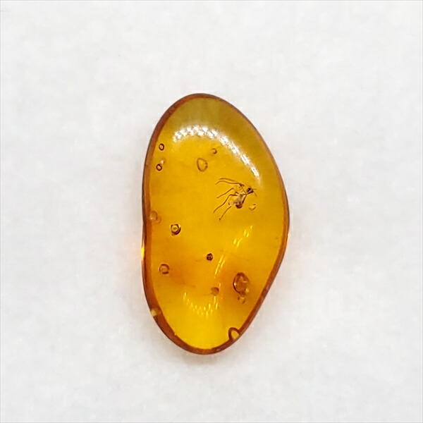 【送料無料】【琥珀/虫入り/anber化石】  美品 虫入り琥珀 琥珀 化石 本物 バルト海産  ケース付き  12.70mm プレゼント ギフト ab209