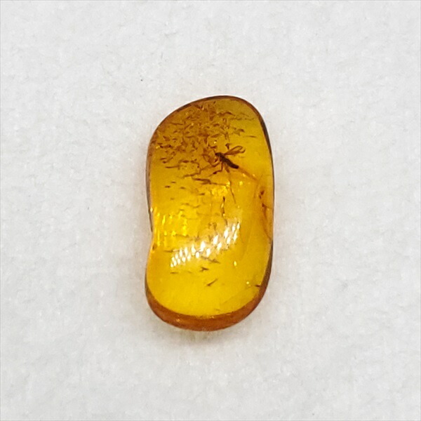 【送料無料】【琥珀/虫入り/anber化石】  美品 虫入り琥珀 琥珀 化石 本物 バルト海産  ケース付き  11.97mm プレゼント ギフト ab227
