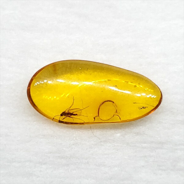 【送料無料】【琥珀/虫入り/anber化石】  美品 虫入り琥珀 琥珀 化石 本物 バルト海産  ケース付き  14.34mm プレゼント ギフト ab238