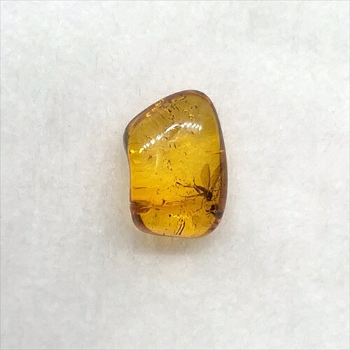 【送料無料】【琥珀/虫入り/anber化石】 美品 虫入り琥珀 琥珀 化石 本物 バルト海産 ケース付き 9.6mm プレゼント ギフト ab302