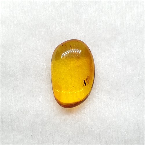【送料無料】【琥珀/虫入り/anber化石】  美品 虫入り琥珀 琥珀 化石 本物 バルト海産  ケース付き 13.75mm プレゼント ギフト ab102