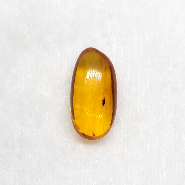 【送料無料】【琥珀/虫入り/anber化石】  美品 虫入り琥珀 琥珀 化石 本物 バルト海産  ケース付き 15mm プレゼント ギフト ab110