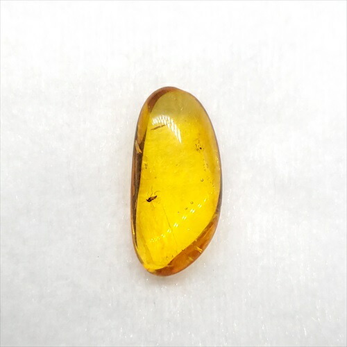 【送料無料】【琥珀/虫入り/anber化石】  美品 虫入り琥珀 琥珀 化石 本物 バルト海産  ケース付き 16mm プレゼント ギフト ab126