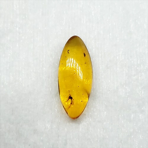 【送料無料】【琥珀/虫入り/anber化石】  美品 虫入り琥珀 琥珀 化石 本物 バルト海産  ケース付き 16.5mm プレゼント ギフト ab134