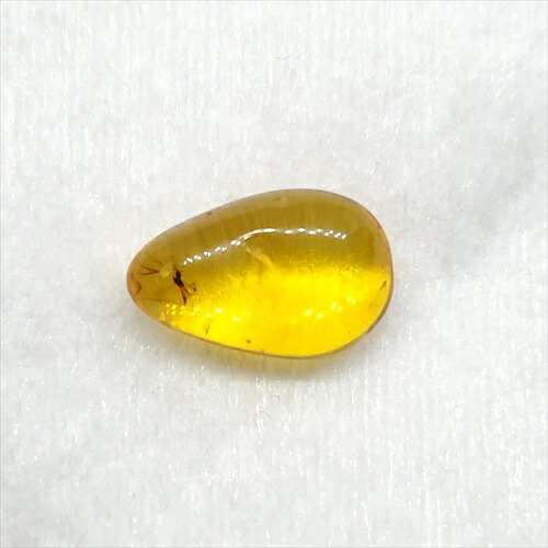 【送料無料】【琥珀/虫入り/anber化石】  美品 虫入り琥珀 琥珀 化石 本物 バルト海産  ケース付き 11.5mm プレゼント ギフト ab135