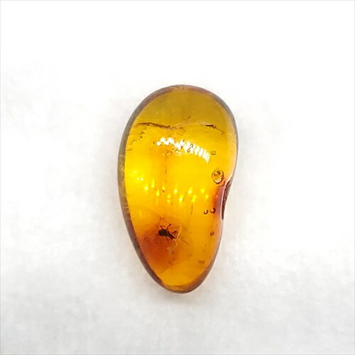 【送料無料】【琥珀/虫入り/anber化石】  美品 虫入り琥珀 琥珀 化石 本物 バルト海産  ケース付き  12.17mm プレゼント ギフト ab256