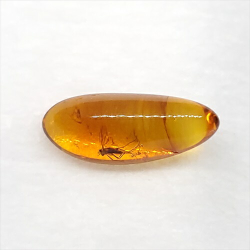 【送料無料】【琥珀/虫入り/anber化石】  美品 虫入り琥珀 琥珀 化石 本物 バルト海産  ケース付き  13.89mm プレゼント ギフト ab257
