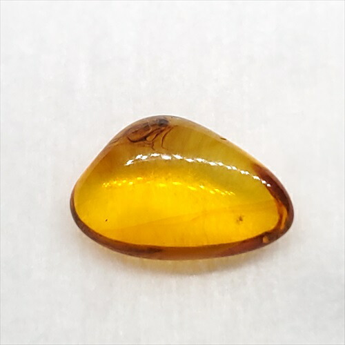 【送料無料】【琥珀/虫入り/anber化石】  美品 虫入り琥珀 琥珀 化石 本物 バルト海産  ケース付き  12.58mm プレゼント ギフト ab261