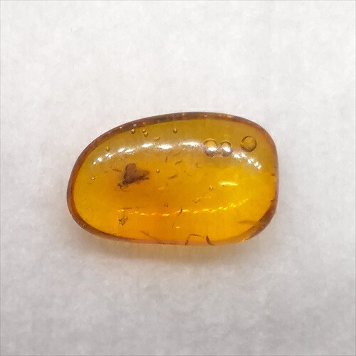 【送料無料】【琥珀/虫入り/anber化石】  美品 虫入り琥珀 琥珀 化石 本物 バルト海産  ケース付き  11.54mm プレゼント ギフト ab266