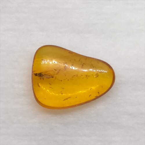 【送料無料】【琥珀/虫入り/anber化石】  美品 虫入り琥珀 琥珀 化石 本物 バルト海産  ケース付き  11.65mm プレゼント ギフト ab271