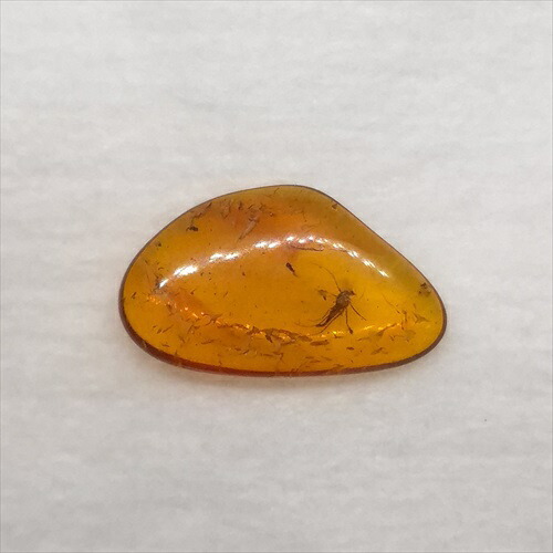 楽天市場】【送料無料】【琥珀/虫入り/anber化石】 美品 虫入り琥珀