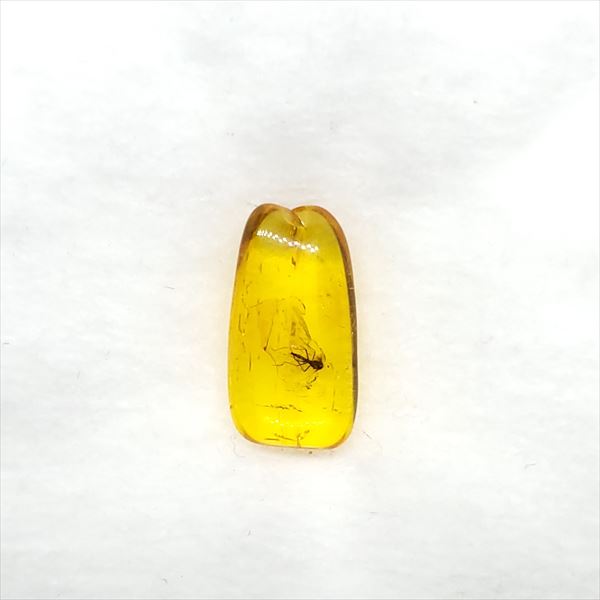 【送料無料】【琥珀/虫入り/anber化石】  美品 虫入り琥珀 琥珀 化石 本物 バルト海産  ケース付き 14.65mm プレゼント ギフト ab36