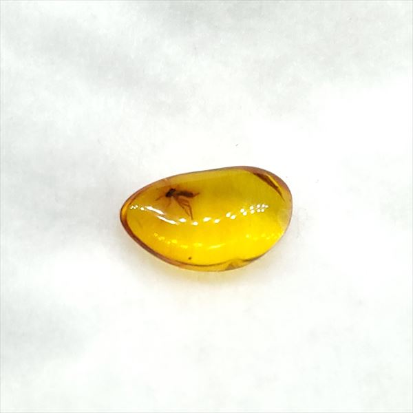 【送料無料】【琥珀/虫入り/anber化石】  美品 虫入り琥珀 琥珀 化石 本物 バルト海産  ケース付き 11.46mm プレゼント ギフト ab47