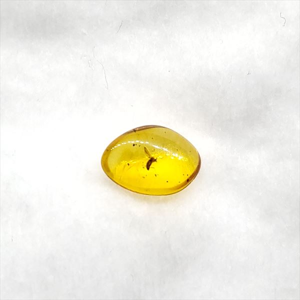 【送料無料】【琥珀/虫入り/anber化石】  美品 虫入り琥珀 琥珀 化石 本物 バルト海産  ケース付き 9.37mm プレゼント ギフト ab49