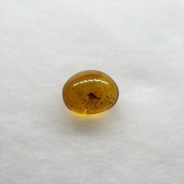 楽天市場】【送料無料】【琥珀/虫入り/anber化石】 美品 虫入り