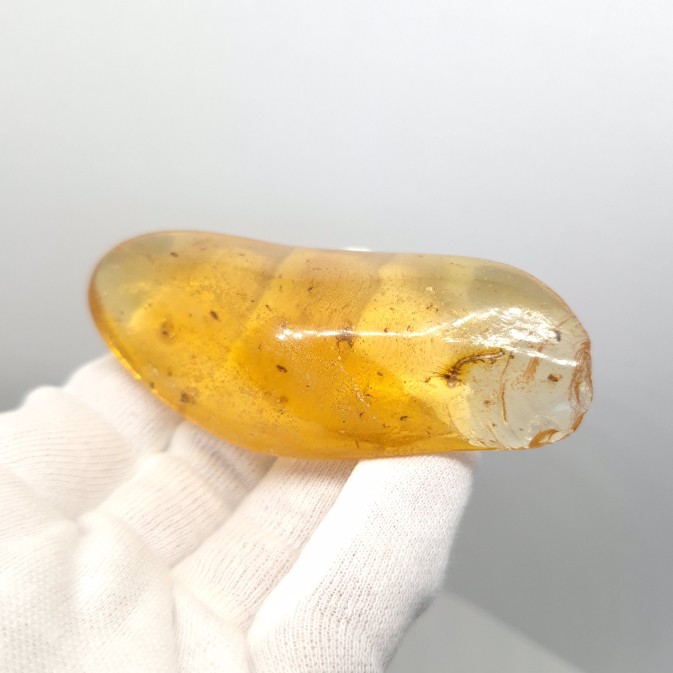 【送料無料】【コーパル/虫入り/昆虫/化石】 美品 虫入り コーパル 化石 天然 マダガスカル海産 78.71mm プレゼント ギフト cp7