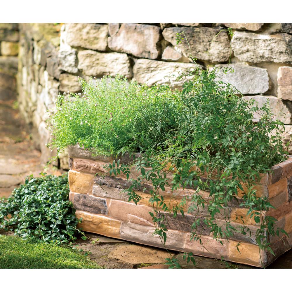 楽天市場】鉢 鉢カバー プランター カバー ガーデニング 水抜き穴