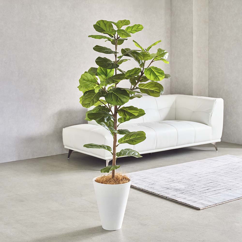 【最大8000円OFFクーポン 4月10日迄】 インテリアグリーン カシワバゴム フェイク インテリアグリーン 人工観葉植物 造花 H90660 ＼LINE友だち登録でクーポン／ 32,175円