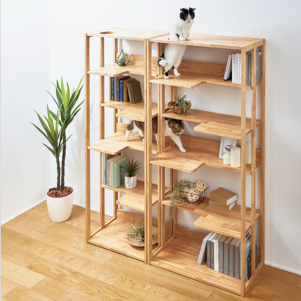 本棚兼用猫家具