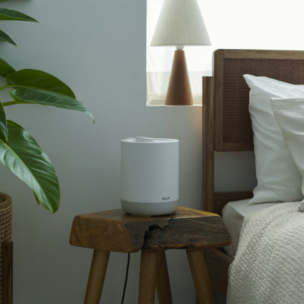 楽天市場】duux デュクス スチーム式加湿器 Dawn Mini(ドーン ミニ