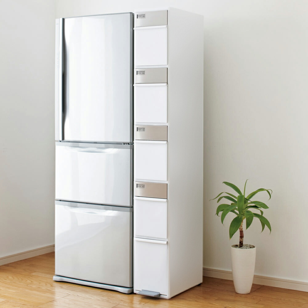 楽天市場】＼LINE友だち登録でクーポン／ DOTTUS/ドッタス