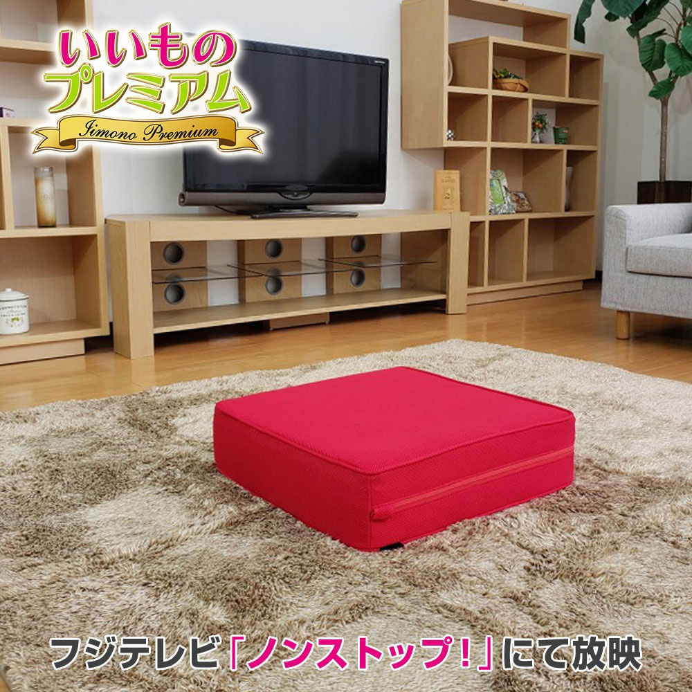 楽天市場】ヒップリリースビューティ テレビ放送商品 AR2114フジテレビ いいものプレミアム 美尻 クッション 美尻 エクササイズ ヒップアップ  エクササイズ ヒップ フィットネス ヒップアップ クッション フィットネス器具お尻 筋トレ 太もも裏 座るだけ 宅トレ グッズ ...