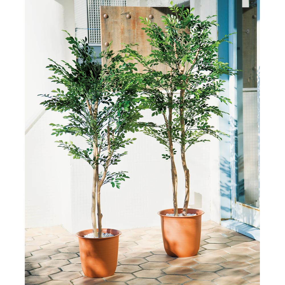 ≪高さ160cm≫ 人工観葉植物シマトネリコ１鉢 フェイク インテリアグリーン 人工観葉植物 造花 G03115 ＼LINE友だち登録でクーポン／