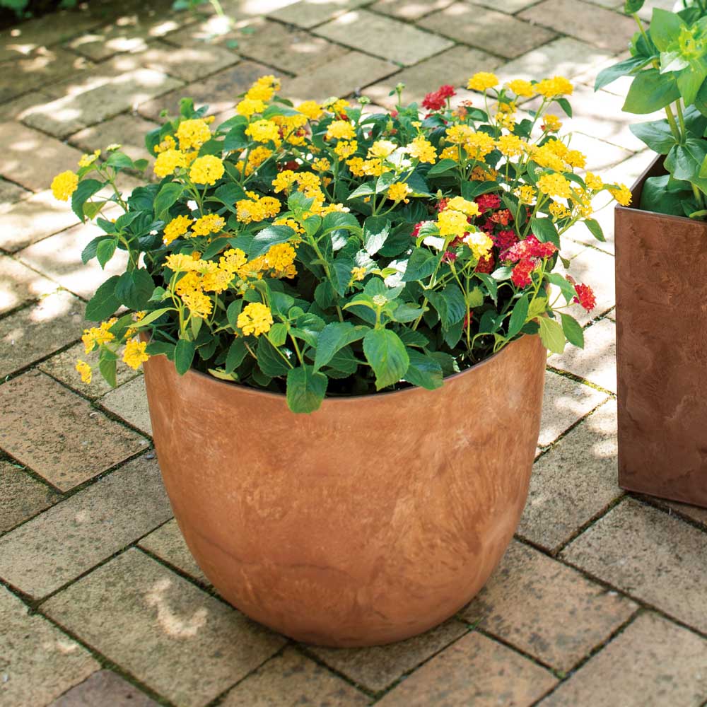 アートストーンプランター エッグM プランター 植木鉢 鉢カバー G01220 \LINE友だち登録でクーポン/|ディノス店