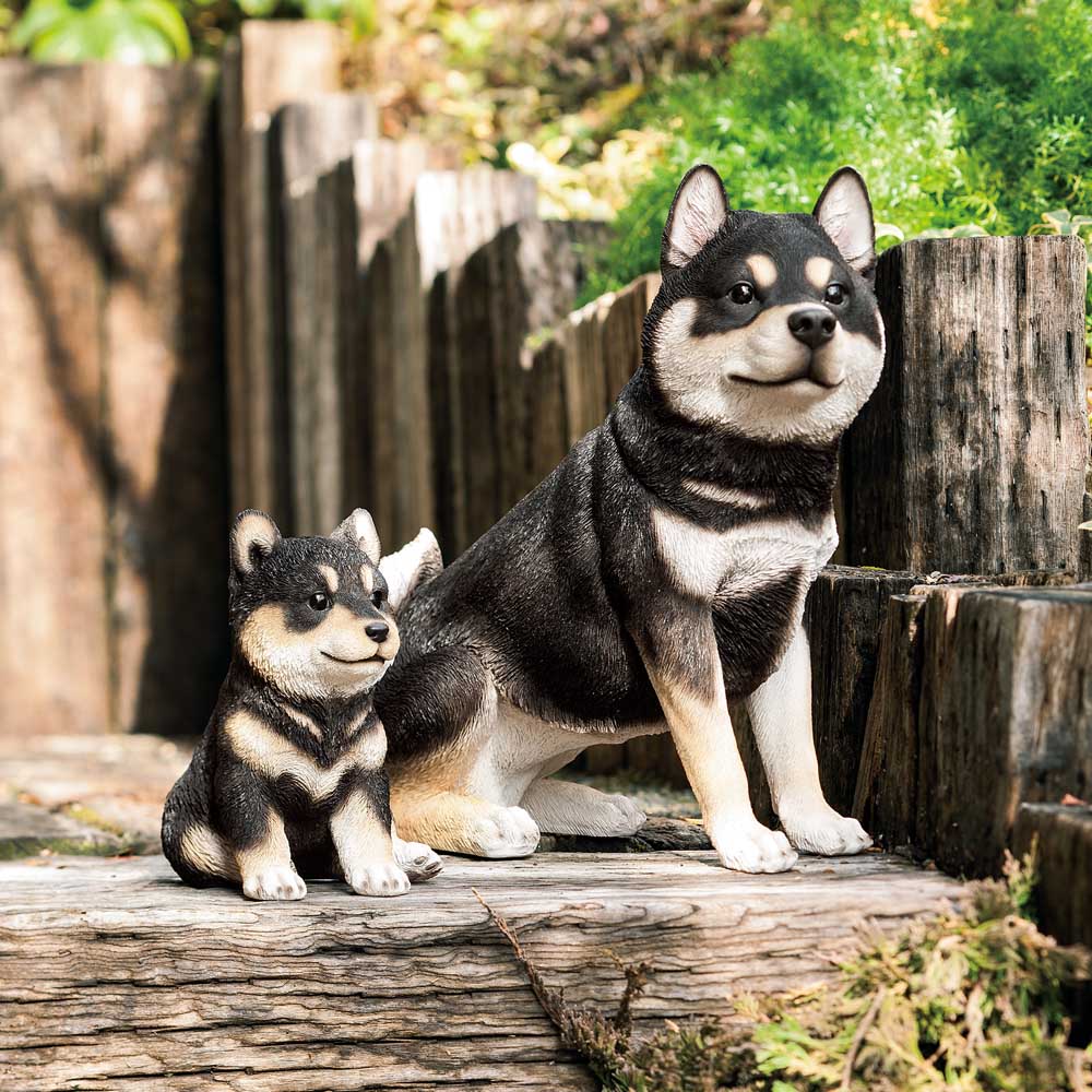 黒柴 楽天市場】【野川農園】豆柴（黒）(13184)H=21cm犬 犬置物