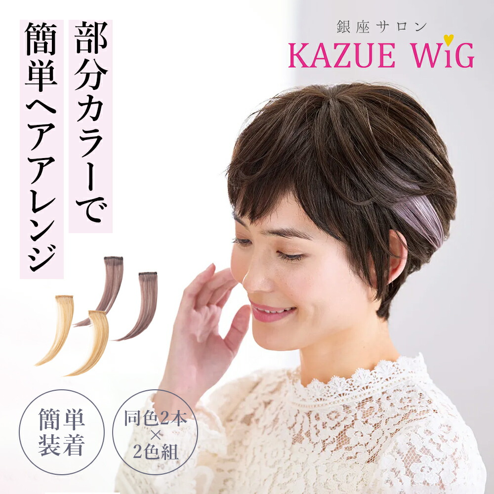 楽天市場】銀座サロンKAZUEウィッグ(フルウィッグ)【T】 テレビ