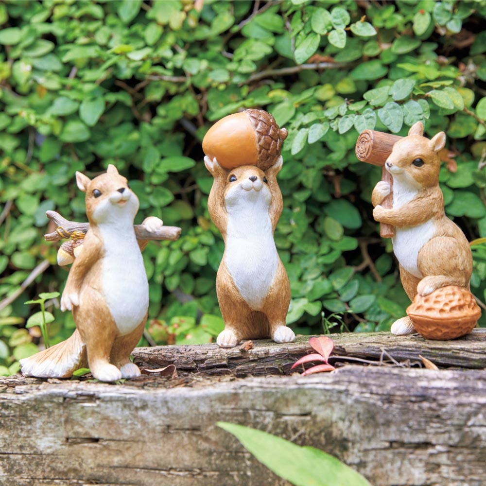 楽天市場】【最大8000円OFFクーポン 3／11 1：59迄】 どんぐりす 3匹