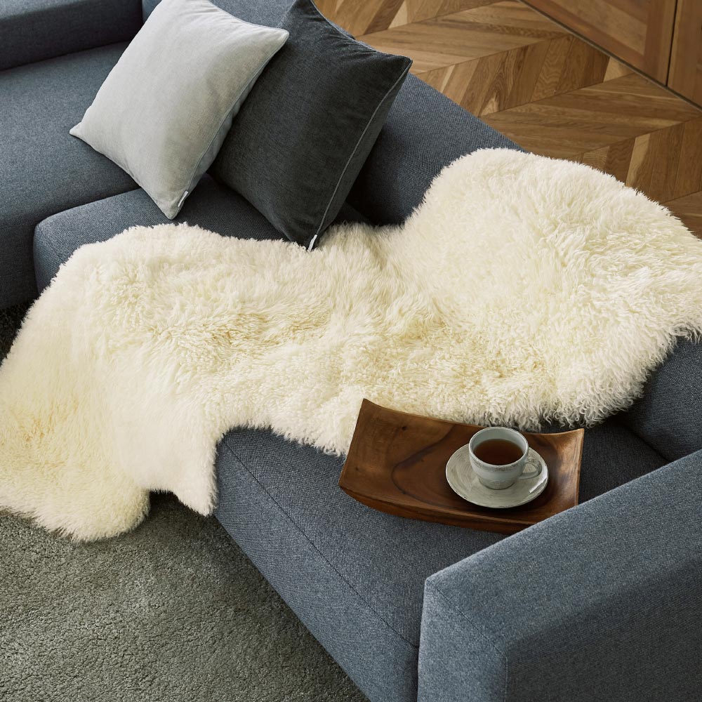 楽天市場】【最大8000円OFFクーポン 11月27日1：59迄】 ≪1匹