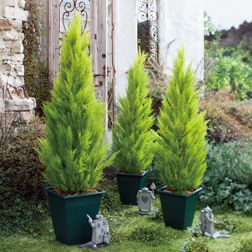 人工観葉植物ゴールドクレスト 90cm お得な2本組 フェイク インテリアグリーン 人工観葉植物 造花 G03105 ＼LINE友だち登録でクーポン／