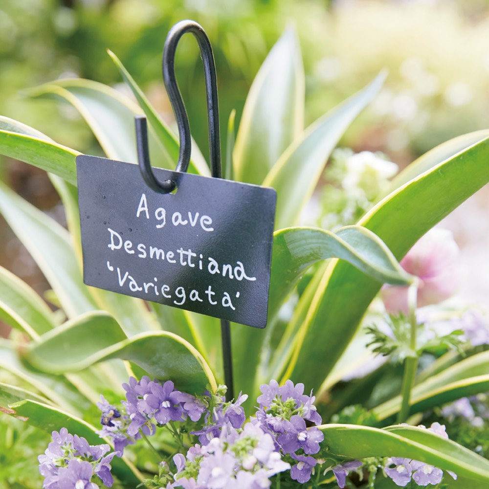 楽天市場】プランツネームプレート 8本組 ガーデニンググッズ G85605