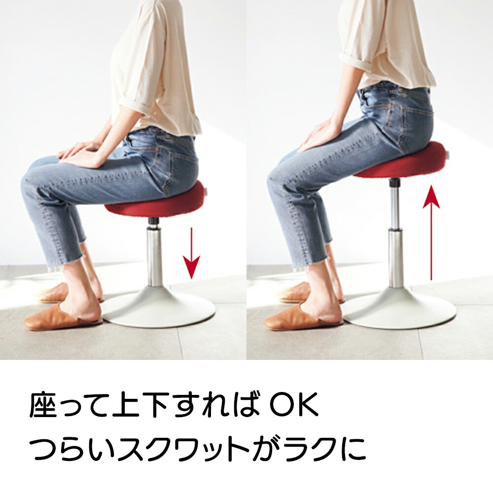 超人気の テレビ放送商品 健康 健康雑貨 Mizuno ミズノ スクワットスリールa アルファ Ar1953 ディノス店w 偉大な Www Nebo Co Rs