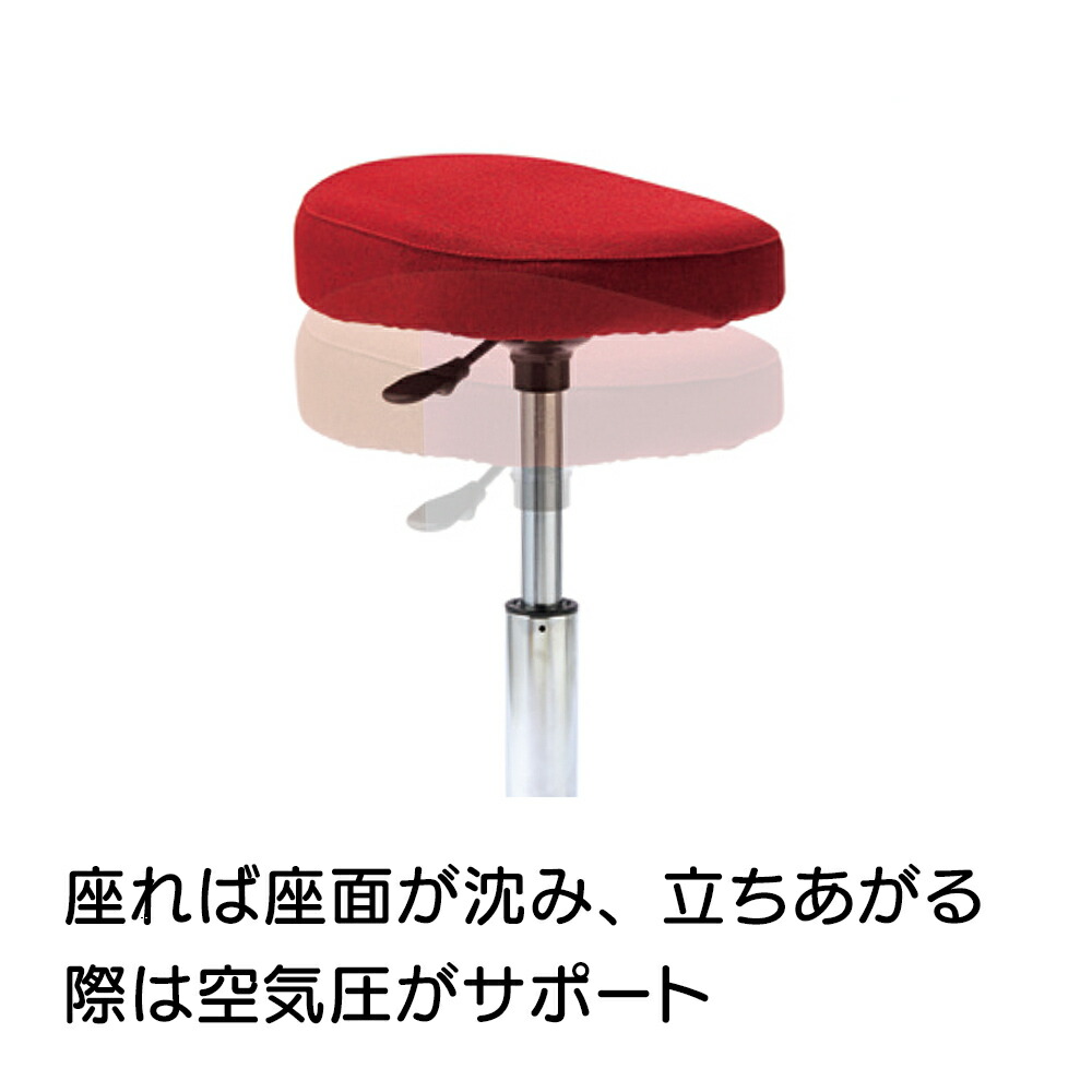 超人気の テレビ放送商品 健康 健康雑貨 Mizuno ミズノ スクワットスリールa アルファ Ar1953 ディノス店w 偉大な Www Nebo Co Rs