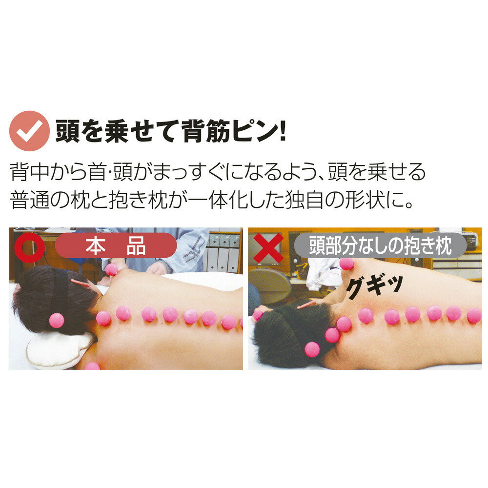 臥榻 寝具 布団 敷き妙 抱き枕 弘大型式 天才の抱き枕 専用上被付き Wt1344 Cannes Encheres Com