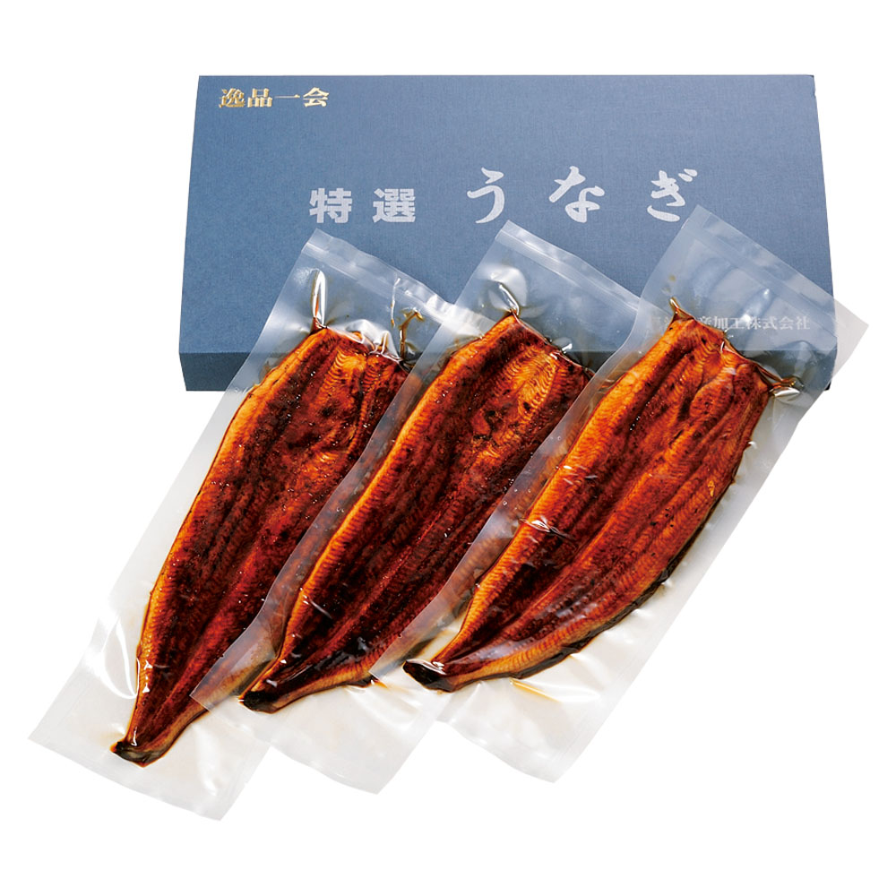 テレビ放送商品 食品 ウナギ 三河 愛知 三河産特選うなぎセット 190g以上 3尾 通常お届け Ar22 Rvcconst Com テレビ放送商品 食品 ウナギ 三河 愛知 三河産特選うなぎセット 190g以上 3尾 通常お届け Ar22 Rvcconst Com