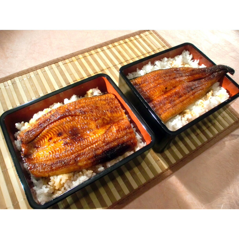 テレビ放送商品 食品 ウナギ 三河 愛知 三河産特選うなぎセット 190g以上 3尾 通常お届け Ar22 Rvcconst Com テレビ放送商品 食品 ウナギ 三河 愛知 三河産特選うなぎセット 190g以上 3尾 通常お届け Ar22 Rvcconst Com