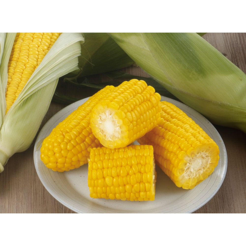 青森産 とうもろこし「嶽きみ（だけきみ）」 8-9本（2.8kg） 【9月上旬頃-お届け】 野菜 果物 FJ0715 ＼LINE友だち登録でクーポン／ 5,366円